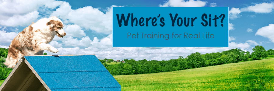 Marco at AAC Regionals