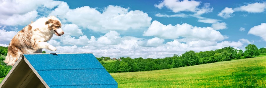 Marco at AAC Regionals