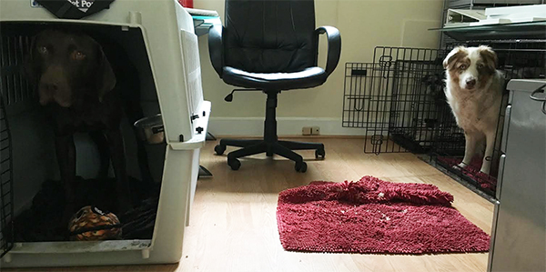 BLOGWaitingPatiently