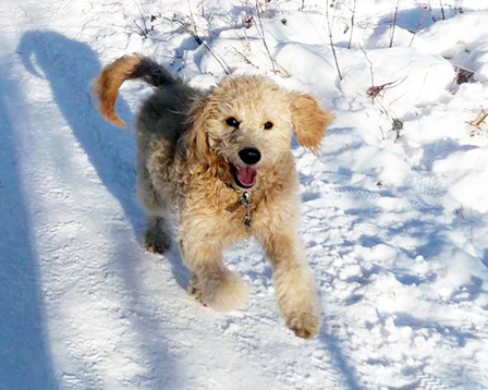 testimonialphotoclara