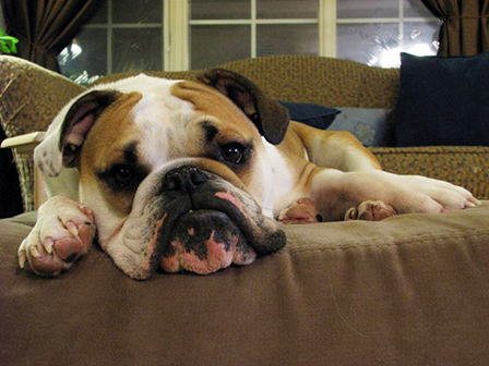 testimonialphotomaggie