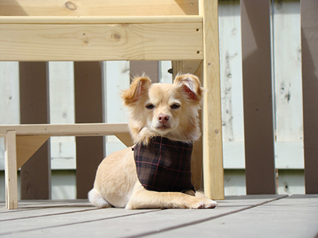 testimonialphotooscar