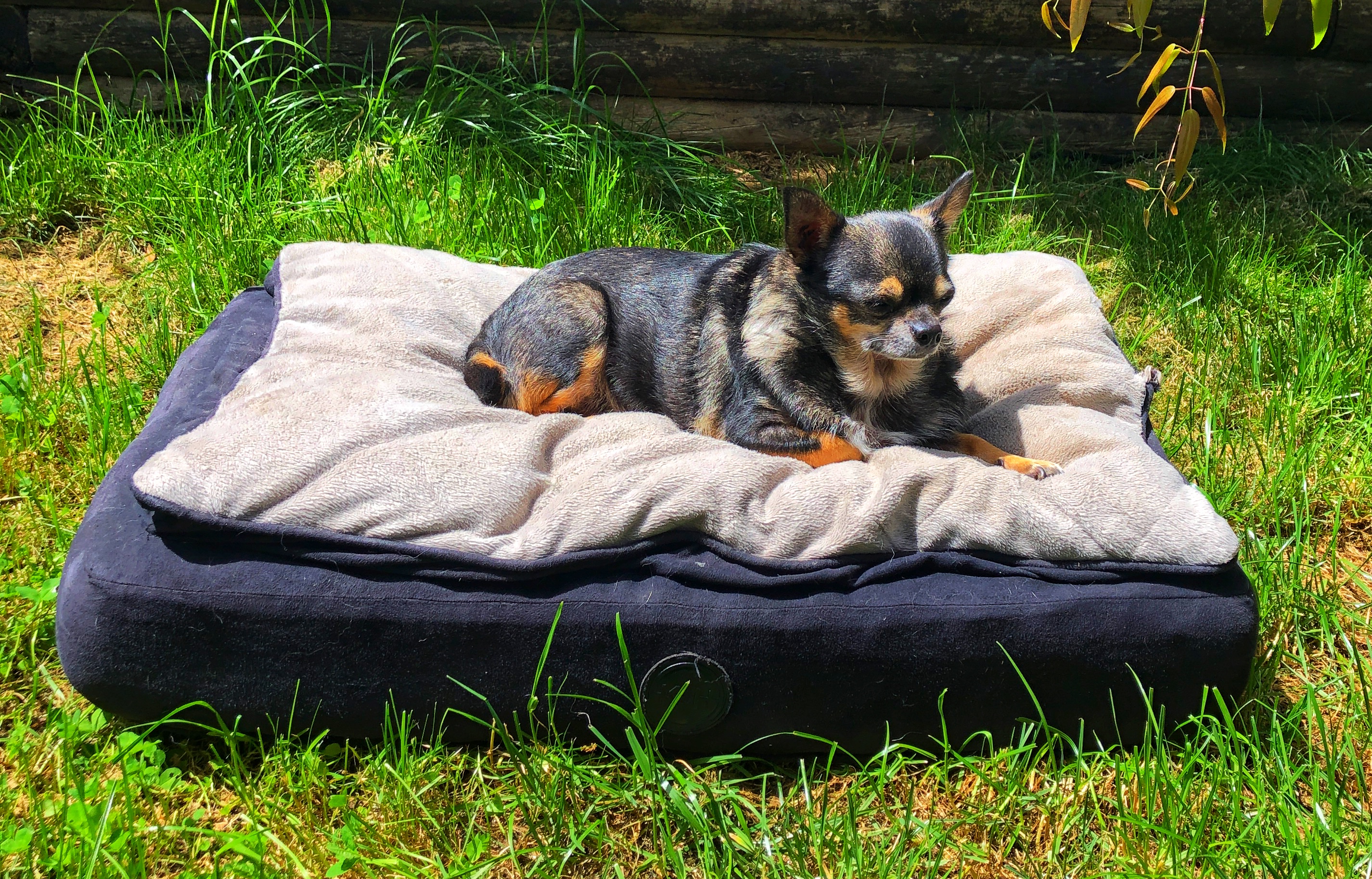 58111328787__D9736F7F-FF5E-455C-94B7-BA48DA63A0DA