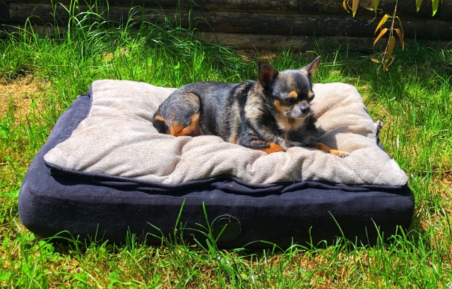 58111328787__D9736F7F-FF5E-455C-94B7-BA48DA63A0DA